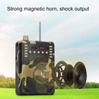48W Wireless Bluetooth Voice Amplifier with Remote Control Supports USB/TF Card Playback, EU Plug, UK Plug, AU Plug, US Plug