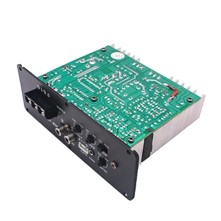 Car Audio Modification Ultra-thin Subwoofer Audio Amplifier Board RMS80W, 12V, 24V