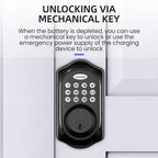 C88 Bluetooth Remote Tuya Automatic Smart Electronic Password Door Lock, C88 Black