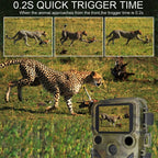 H5812 4K HD Outdoor Night Vision Monitor Animal Infrared Induction Hunting Camera, H5812