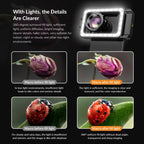 APEXEL  Multifunctional Fill Light Phone Clip With 1/4 Inch & M17 M37 Thread Tnterface, APL-FL.23