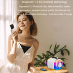 Portable Bluetooth Speaker Home And Outdoor Wireless Karaoke Audio, Y5 1 Microphone, Y5 2 Microphone