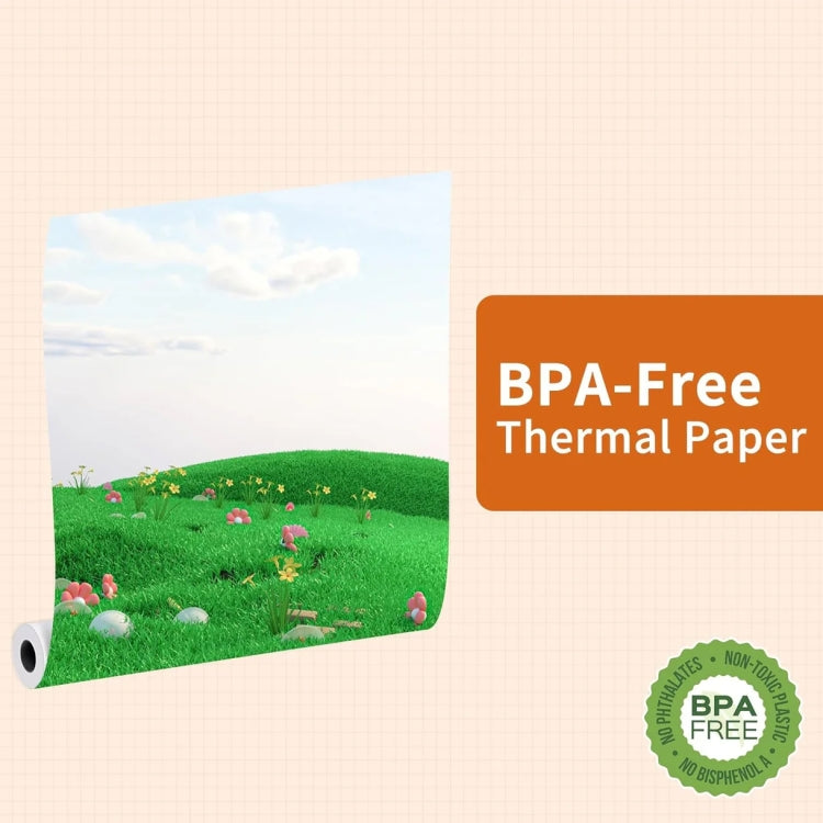 Writing Quick-Drying Thermal Paper 10-Year Long-Lasting For M832 / M833 / M834 / M835 Printer, Phomemo 3rolls /Box 53mm, Phomemo 3rolls /Box 80mm, Phomemo 3rolls /Box 110mm, Phomemo 2rolls /Box A4, Phomemo 4rolls /Box A4, Phomemo 2rolls /Box Letter    ...