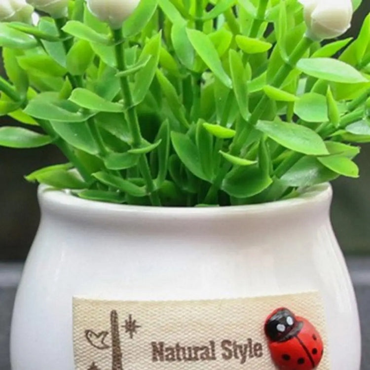 Mini Car Potted Ornaments Decoration Simulated Flower Pots, Lucky Fruit White Bottle, Lucky Fruit Black Bottle, Stop Talking Jar, Zen Jar