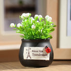 Mini Car Potted Ornaments Decoration Simulated Flower Pots, Lucky Fruit White Bottle, Lucky Fruit Black Bottle, Stop Talking Jar, Zen Jar