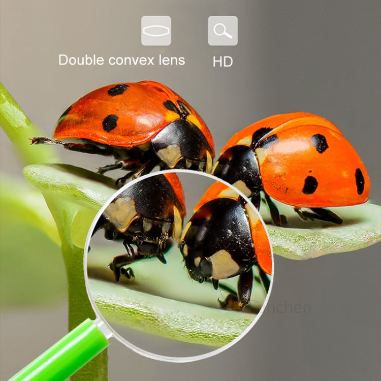 4pcs 40mm 3X Plastic Acrylic Lens Children Teaching Magnifier Color Handle Magnifying Glass, Color Random Delivery, 40mm 3X