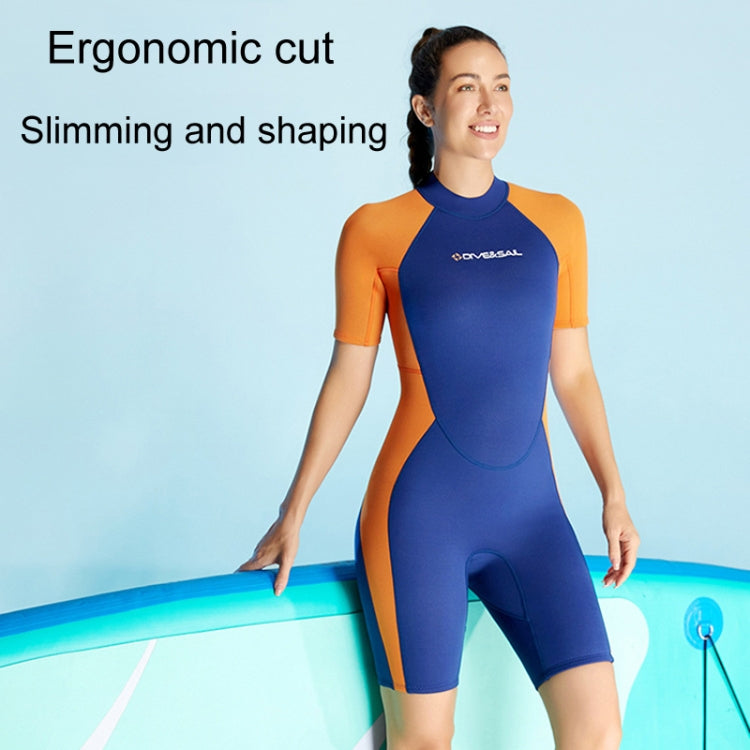 DIVE & SAIL 1.5mm Short Sleeve One-Piece Warm Wetsuit Surfing Snorkeling Winter Swimming Gear, S, M, L, XL, XXL