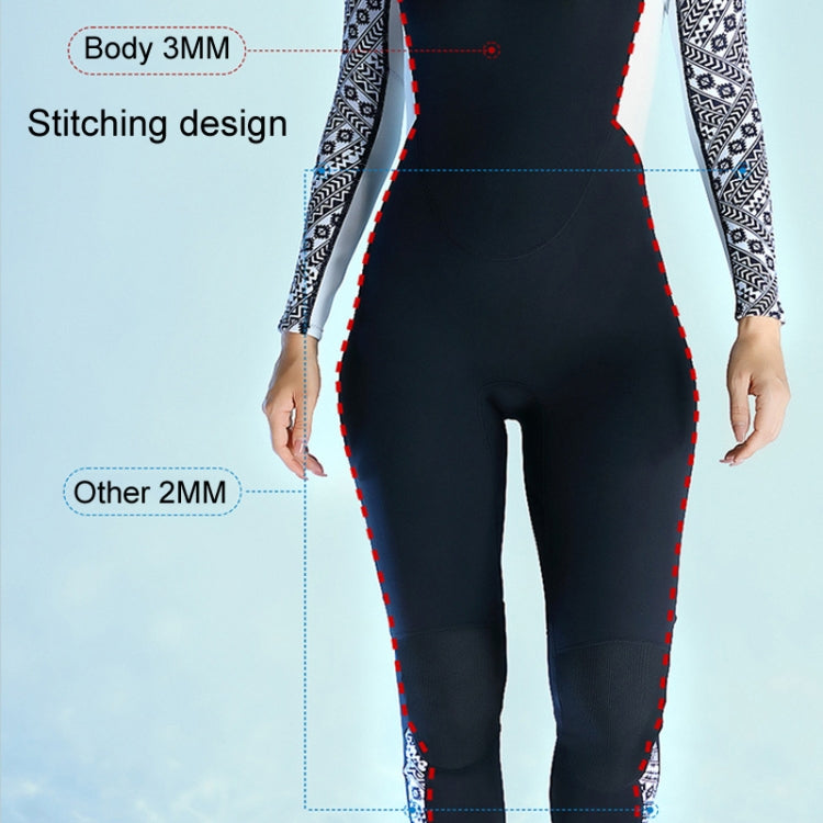 DIVE & SAIL 3mm Warm One-Piece Long Sleeve Wetsuit Thickened Winter Swimming And Surfing Suit, S, M, L, XL, XXL