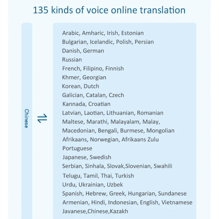 Hishell P40 Smart Translator 135 Languages Voice Intelligent Online Translation Machine Offline Multilanguage Speech Translate, P40