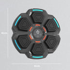Bluetooth Music Boxing Machine with Lights 9 Speed Adjustable, Black, Light Gray