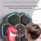 Bluetooth Music Boxing Machine with Lights 9 Speed Adjustable, Black, Light Gray