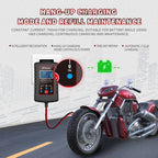 RJtianye 6V/12V ASE Adapter Cable Car Motorcycle Lawn Mower Battery Charger, US Plug, EU Plug