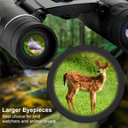 Outdoor Low-light Night Vision High-power HD Mini Binoculars, 8X21