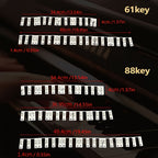 Silicone Piano Notes Guide Removable Piano Keyboard, 88 Keys White Bottom Black Text, 88 Keys White Bottom Color Text, 61 Keys White Bottom Black Text, 61 Keys White Bottom Color Text