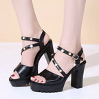 Summer Women High Heeled Sandals Thick Bottom Waterproof Platform Buckle Strap Lady Shoes, 35, 36, 37, 38, 39, 40