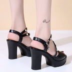 Summer Women High Heeled Sandals Thick Bottom Waterproof Platform Buckle Strap Lady Shoes, 35, 36, 37, 38, 39, 40