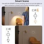 Smart WiFi Socket Electricity Time Switching Voice Control, SONOFF S60TPG UK Plug