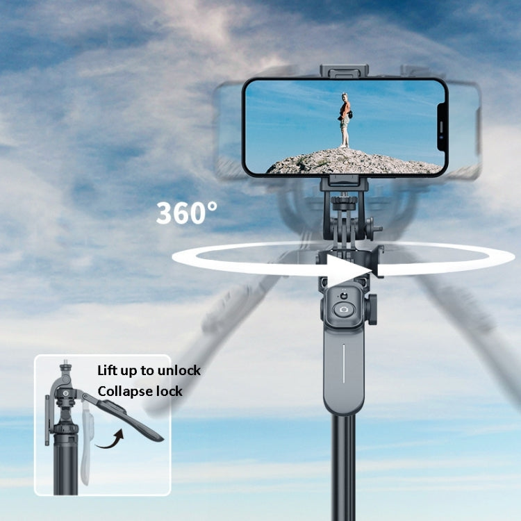 2m Metal Tripod Selfie Stick With 4 Expansion Interfaces & D07 Fill Light for Phone Camera, With D07 Fill Light