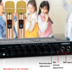 EQ-819 Car Audio Equalizer EQ Tuning Crossover Amplifier Supports Dual Microphone Input Reverberation Adjustment, EQ-819