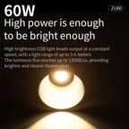 Desiontal ZU-60 60W Hand-Held Camera Light High Power Fill Light, EU Plug, ZU-60