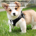 HD Outdoor Portable Pet Recorder Cycling Sports Camera, No TF Card, With 32G TF Card, With Silicone Collar, With Silicone Collar+32G TF Card