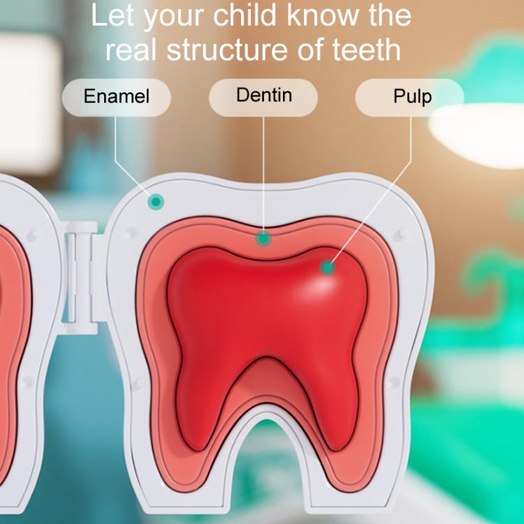 Children Pretend Play Simulation Dentist Role-Play Toys, Basic Pink, Basic Green, Upgrade Pink, Upgrade Green, Deluxe Pink, Deluxe Green