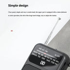 W-209 Mini Portable Rechargeable / Battery Dual-mode Powered Pointer FM Radio with Flashlight
