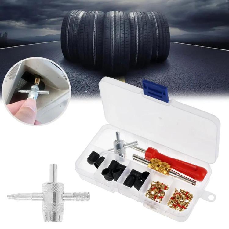 33pcs/Set Car Bicycle Tire Valve Core Installation Tool Repair Kit, A, B