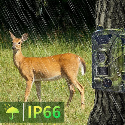4G Hunting Camera Night Vision Infrared Hunting Camera, PR802LTE