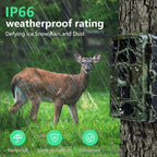 HD Field Camera IR Hunting Camera, PR804LTE