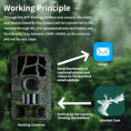 HD Field Camera IR Hunting Camera, PR804LTE