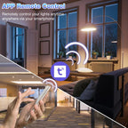 Tuya WiFi Smart Switch Supports Amazon ALEXA/Google HOME Voice Control, 10A, 20A, 30A
