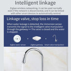 Zigbee Water Leak Detector Sensor, Compatible With Home Assistant, ZG-222Z
