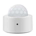 Zigbee Smart Home Motion Sensor, Supports for Home Assistant, Light Sensor+IR, IR