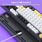 iMICE GK-500 Type-C Wired Mechanical Keyboard Gaming Keyboards