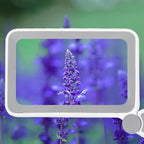 3.5X 12LED Folding Magnifying Glass Handheld Reading Glass With Charge Display, 3.5X