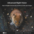 4K 120MP Infrared Hunting Camera Support APP Remote Mobile Viewing Photos / Videos, WiFi940Pro-Li