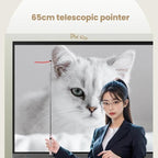 OUBAI T10S Presentation Pointer With Magnifier & Air Mouse, Red Laser, Screen Writing, Timer, Plug & Play