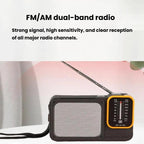 W-916 Portable Pointer Radio With Reading Light FM/AM Dual-Band Radio