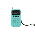 W-213 FM/AM Pointer Dual-Power Radio Portable Clip-On Radio With Flashlight