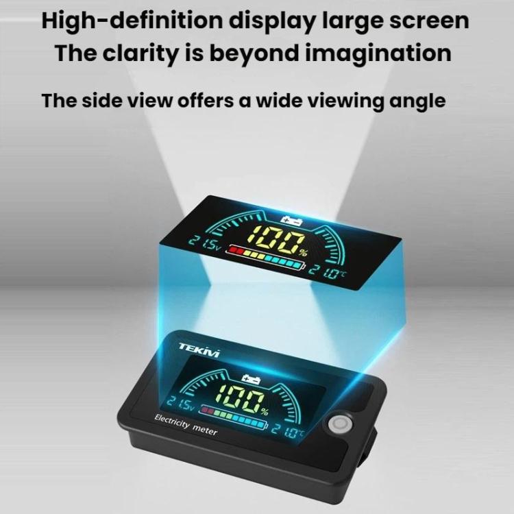 TEKM 8-100V Two-Wire Battery Power LCD Digital Display