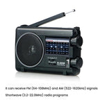 TECSUN R-305P Full-Band Radio Portable Retro Analog Dial DSP Radio, R-305P