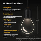 LED Light Bulbs Car Pendant LED Ambient Lights