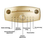 SDRD SD306S Wireless Bluetooth Speaker With Dual Microphone Portable Karaoke Machine For Singing & Live Stream