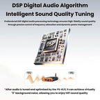 Sienwiny YS-KL5 Bluetooth 5.3 Dual-Channel TPA3255 Chip 600W High-Power HiFi Digital Amplifier, EU Plug, US Plug