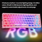 H60 Pro Bluetooth Wireless Triple-Mode Gaming Keycap Cutout Magnetic Axis Keyboard
