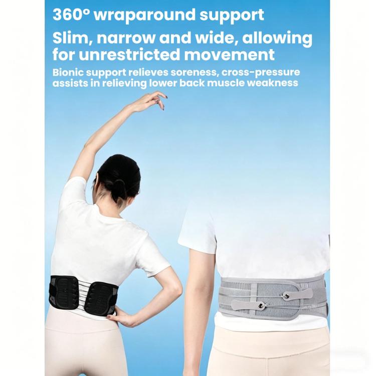 Adjustable Breathable Mesh Lumbar Support Belt With Double Pulleys, S, M, L, XL