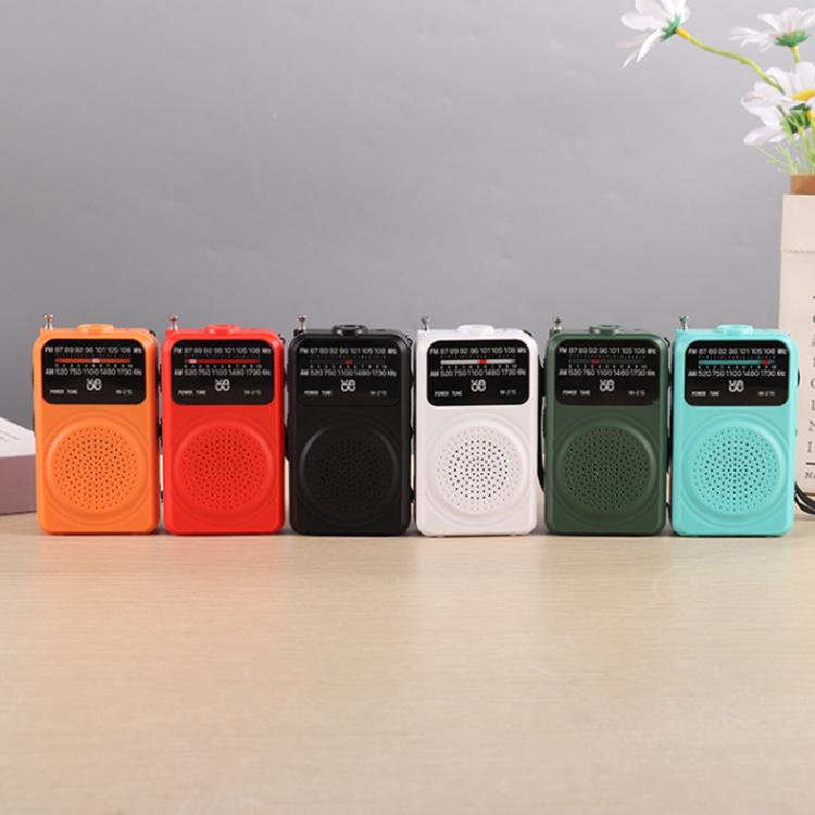 WDK FM/AM All-Band Portable Radio, English