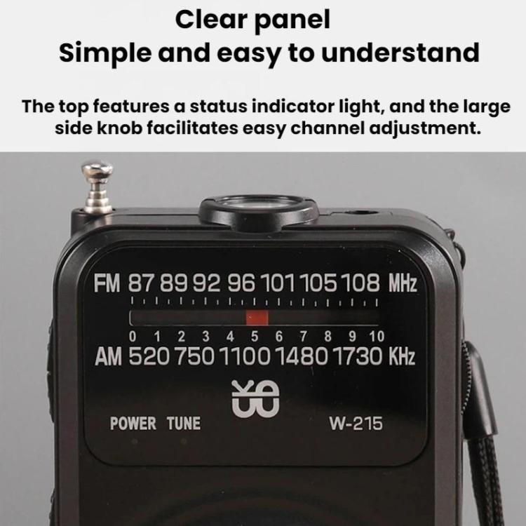 WDK FM/AM All-Band Portable Radio, English