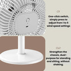 Home Use High-Power Extendable Desktop/Floor Fan